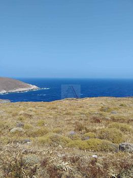 Οικόπεδο 8.000 τ.μ. πρός πώληση
