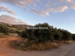 Land plot 877 sqm for sale
