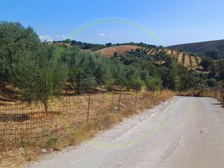 Οικόπεδο 1.385 τ.μ. για πώληση, Ν. Ρεθύμνου, Ρέθυμνο-thumb-5