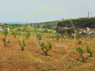 Οικόπεδο 4.800 τ.μ. για πώληση, Ν. Ρεθύμνου, Ρέθυμνο-thumb-3