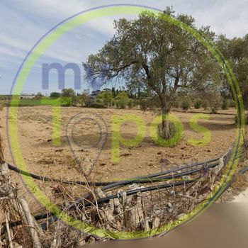 Οικόπεδο 2.600 τ.μ. προς πώληση