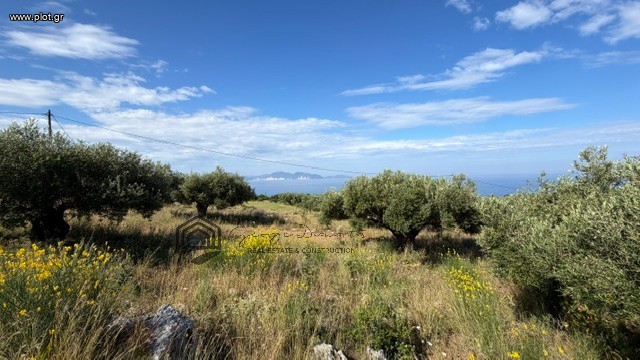 Οικόπεδο 2.287 τ.μ. προς πώληση, Έρισος