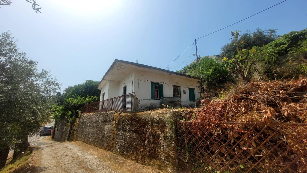 Αγροτεμάχια 443 τ.μ. πρός πώληση, Ν. Κέρκυρας, Κέρκυρα