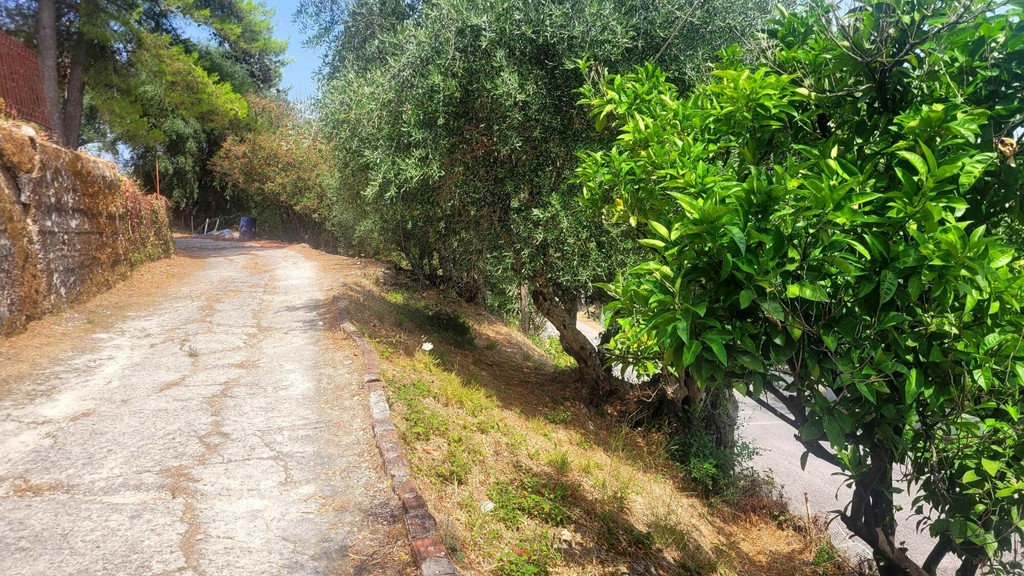Αγροτεμάχια 443 τ.μ. πρός πώληση, Ν. Κέρκυρας, Κέρκυρα