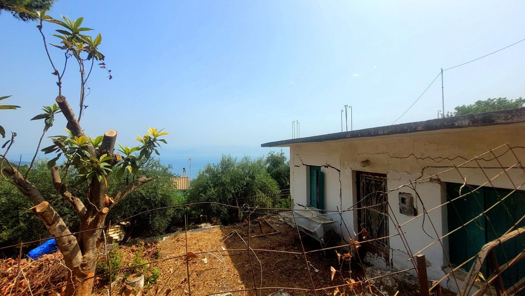 Αγροτεμάχια 443 τ.μ. πρός πώληση, Ν. Κέρκυρας, Κέρκυρα