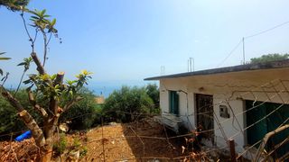 Αγροτεμάχια 443 τ.μ. για πώληση