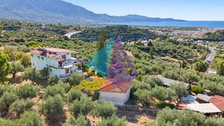 Μονοκατοικία 337 τ.μ. πρός πώληση, Μεσσηνία, Καλαμάτα-thumb-23