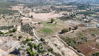 Αγροτεμάχια 20.650 τ.μ. πρός πώληση, Αργολίδα, Κρανίδι-thumb-15