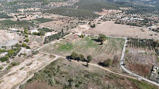 Αγροτεμάχια 20.650 τ.μ. πρός πώληση, Αργολίδα, Κρανίδι-thumb-11