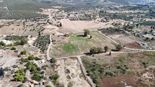 Αγροτεμάχια 20.650 τ.μ. πρός πώληση, Αργολίδα, Κρανίδι-thumb-13