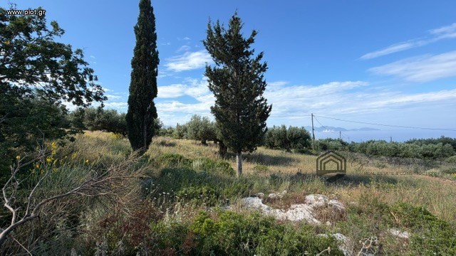 Οικόπεδο 601 τ.μ. προς πώληση, Έρισος