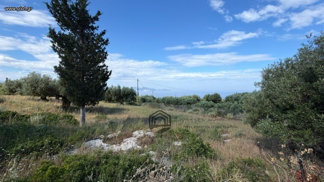 Οικόπεδο 601 τ.μ. προς πώληση, Έρισος