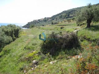 Οικόπεδο 22.286 τ.μ. για πώληση, Ζάκυνθος, Λαγανάς-thumb-4