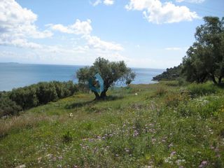 Οικόπεδο 22.286 τ.μ. για πώληση, Ζάκυνθος, Λαγανάς-thumb-3