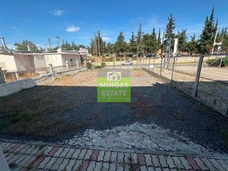 Κατάστημα 113 τ.μ. προς ενοικίαση, Κέντρο Μεγάρων-thumb-8
