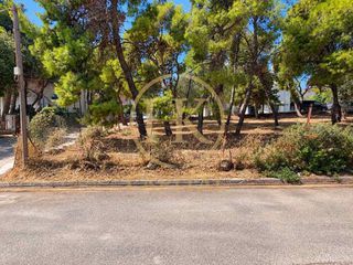Land plot 712 sqm for sale