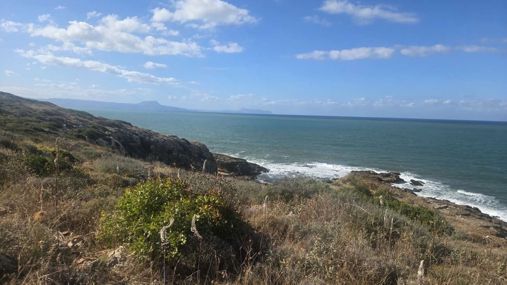 Οικόπεδο 8.308 τ.μ. πρός πώληση, Ν. Ρεθύμνου, Νικηφόρος Φωκάς