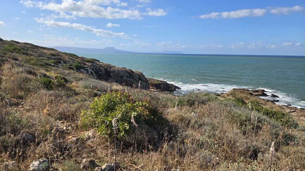 Οικόπεδο 8.308 τ.μ. πρός πώληση, Ν. Ρεθύμνου, Νικηφόρος Φωκάς