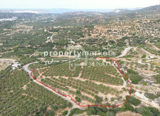 Οικόπεδο 7.200 τ.μ. για πώληση, Ν. Λασιθίου, Σητεία-thumb-1
