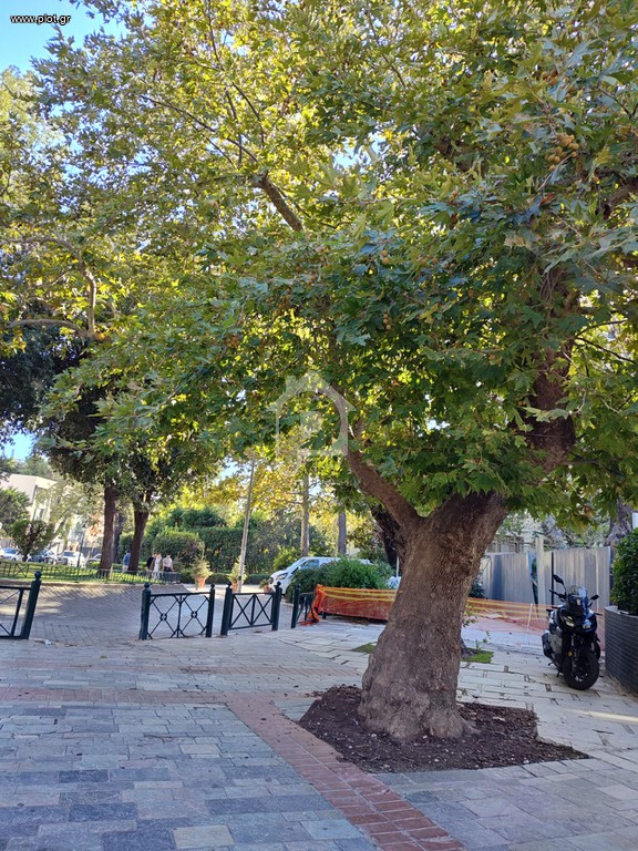 Μονοκατοικία 75 τ.μ. προς πώληση, Νεοχώρι Νεβρόπολης Αγράφων