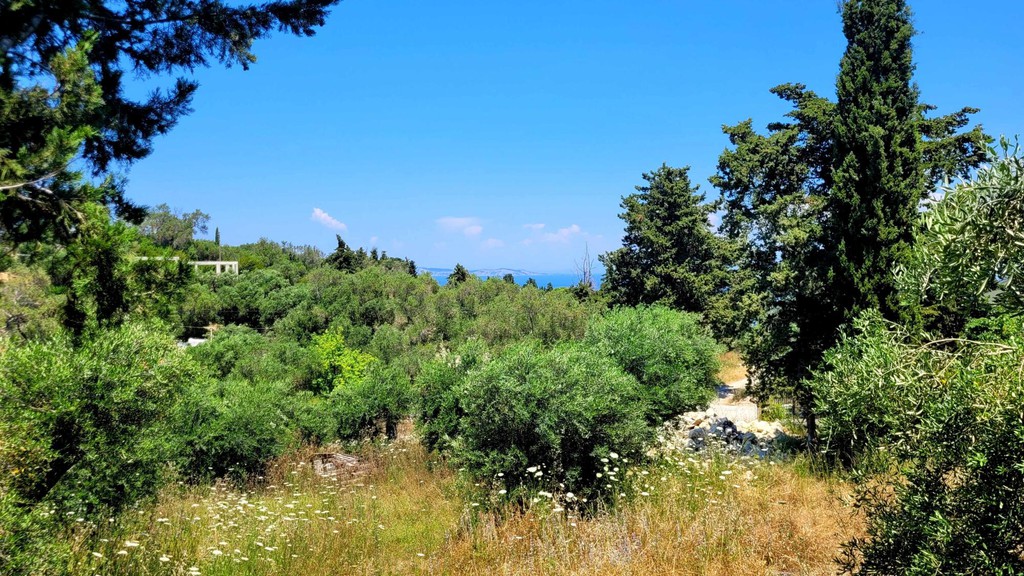 Οικόπεδο 1.594 τ.μ. πρός πώληση, Ν. Κέρκυρας, Παξοί