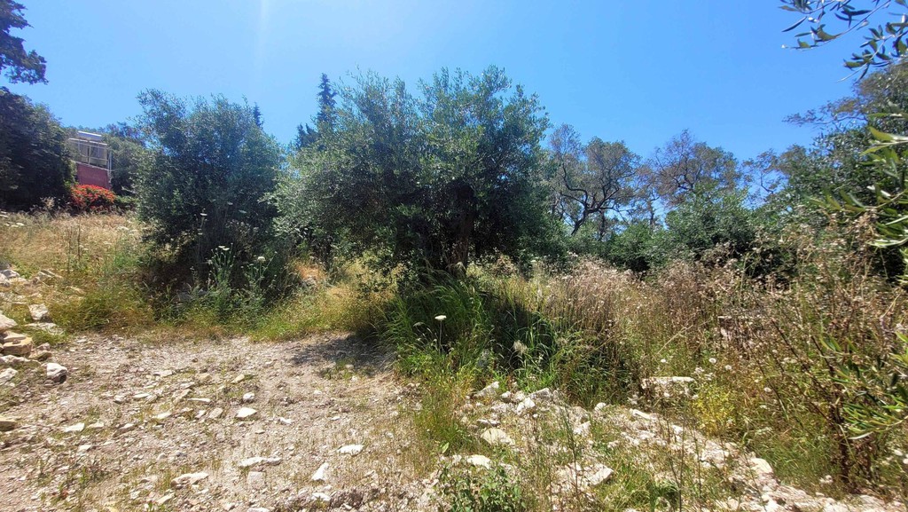 Οικόπεδο 1.594 τ.μ. πρός πώληση, Ν. Κέρκυρας, Παξοί