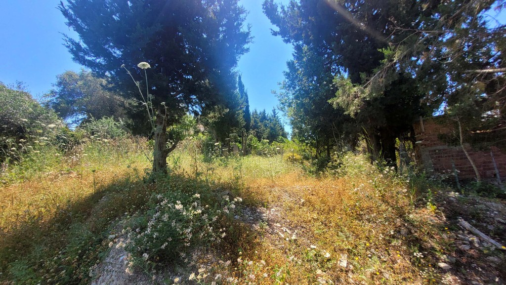 Οικόπεδο 1.594 τ.μ. πρός πώληση, Ν. Κέρκυρας, Παξοί