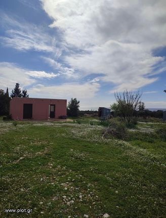 Οικόπεδο 4.500 τ.μ. προς πώληση, Παλική