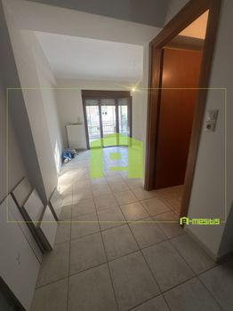 Studio 31 sqm for rent