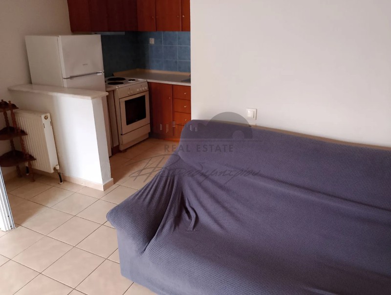 Studio / γκαρσονιέρα 30 τ.μ. προς ενοικίαση, Νέες Παγασές