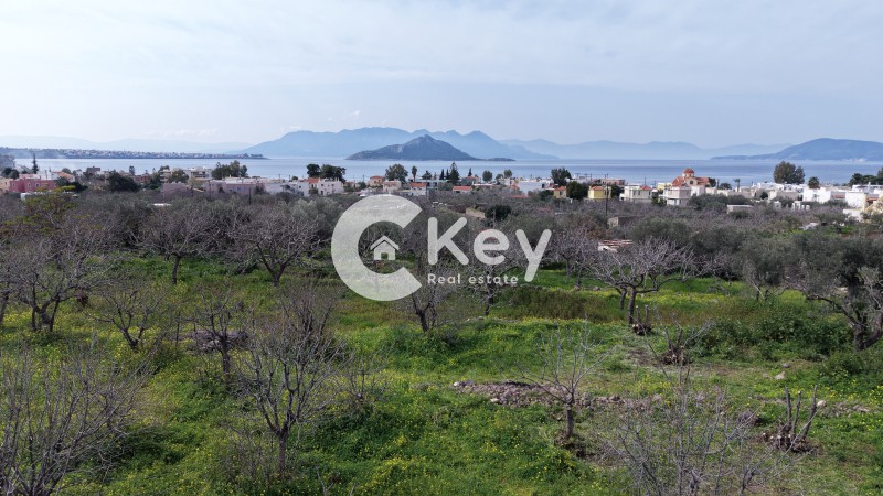 Οικόπεδο 582 τ.μ. πρός πώληση, Νησιά Αργοσαρωνικού, Αίγινα