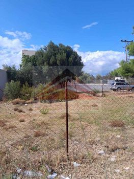 Αγροτεμάχια 240 τ.μ. πρός πώληση