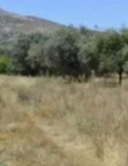Οικόπεδο 17.500 τ.μ. για πώληση