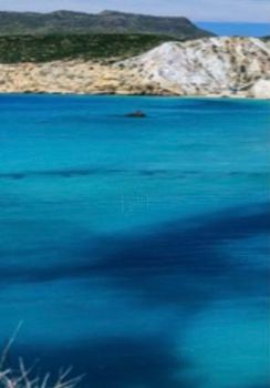 Οικόπεδο 150.000 τ.μ. προς πώληση