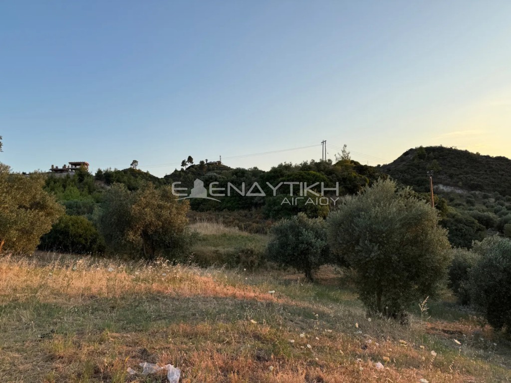 Αγροτεμάχια 3.870 τ.μ. πρός πώληση, Χαλκιδική, Κασσάνδρα