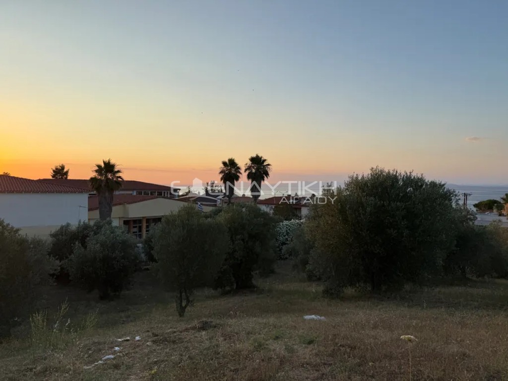 Αγροτεμάχια 3.870 τ.μ. πρός πώληση, Χαλκιδική, Κασσάνδρα