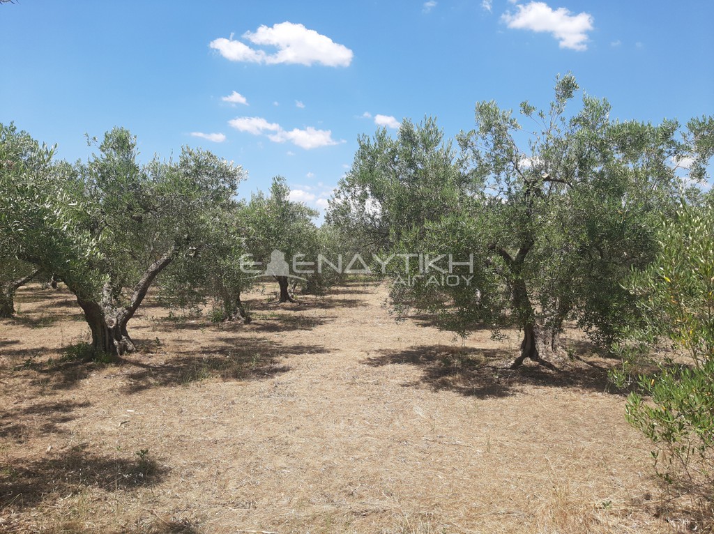 Οικόπεδο 2.290 τ.μ. πρός πώληση, Χαλκιδική, Πολύγυρος