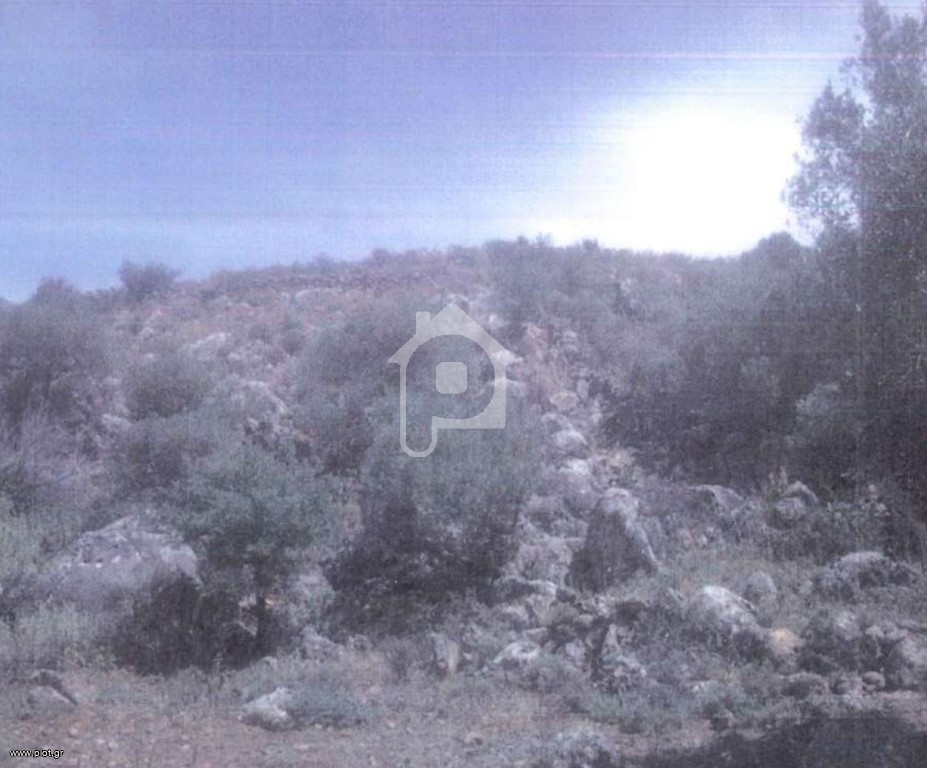 Αγροτεμάχια 3.300 τ.μ. προς πώληση, Δράπανος