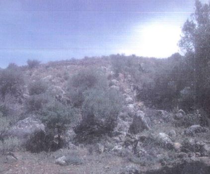 Αγροτεμάχια 3.300 τ.μ. προς πώληση