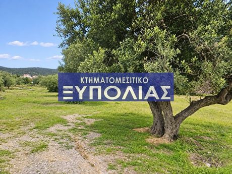 Οικόπεδο 1.538 τ.μ. προς πώληση