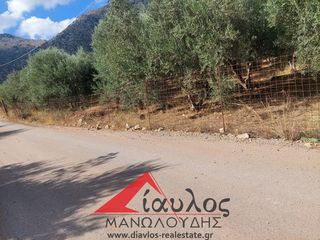 Οικόπεδο 6.376 τ.μ. προς πώληση, Μπαλί-thumb-12