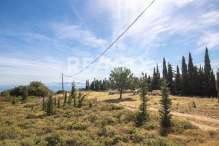 Οικόπεδο 350 τ.μ. προς πώληση, Συκή-thumb-22