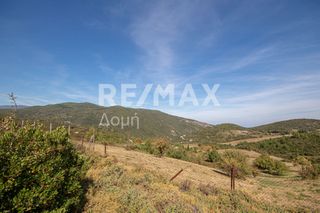 Οικόπεδο 350 τ.μ. προς πώληση, Συκή-thumb-16