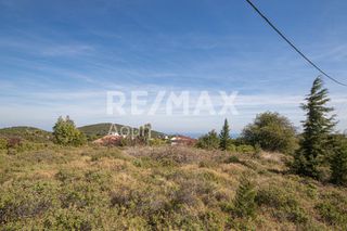 Οικόπεδο 350 τ.μ. προς πώληση, Συκή-thumb-17