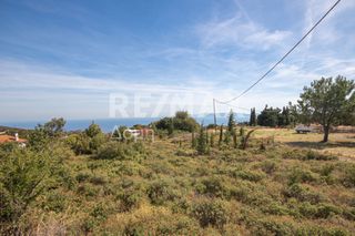 Οικόπεδο 350 τ.μ. προς πώληση, Συκή-thumb-21