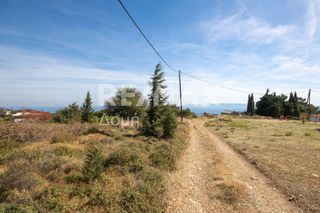 Οικόπεδο 350 τ.μ. προς πώληση, Συκή-thumb-2