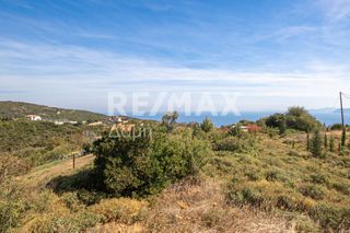 Οικόπεδο 350 τ.μ. προς πώληση, Συκή-thumb-20