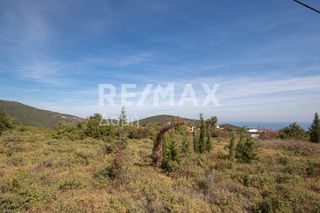 Οικόπεδο 350 τ.μ. προς πώληση, Συκή-thumb-19