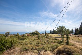 Οικόπεδο 350 τ.μ. προς πώληση, Συκή-thumb-9