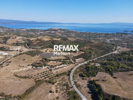 Αγροτεμάχια 3.532,58 τ.μ. προς πώληση